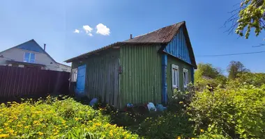  en Putcynski sielski Saviet, Belarús