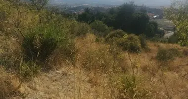 Mieszkanie w Ayios Amvrosios, Cypr