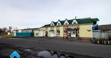 Restaurant, Café 1 127 m² in Homel, Belarus