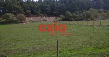 Terrain dans Amisiana, Grèce