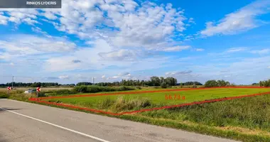 Parcela en Oniunai, Lituania
