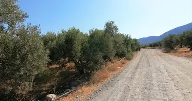 Terrain dans Municipality of Agios Nikolaos, Grèce