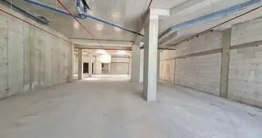 Propriété commerciale 268 m² dans Tbilissi, Géorgie