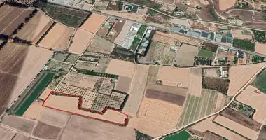 Plot of land in Timi, Cyprus