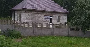 Cottage in Minsk District, Belarus