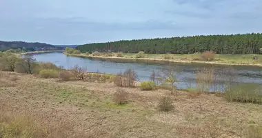 Terrain dans Vaistariskiai, Lituanie