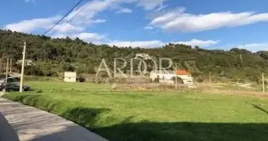 Terrain dans Palit, Croatie