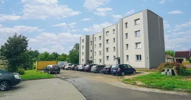 Appartement 2 chambres dans Kupiskis, Lituanie