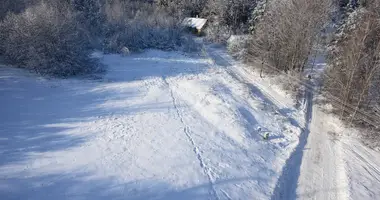 Terrain dans Alytus, Lituanie
