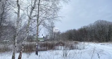 Plot of land in Rassvet, Russia