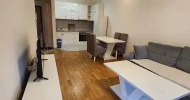 Apartment in Podgorica, Montenegro