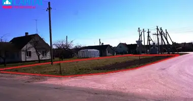 Działka w Nerowo, Litwa