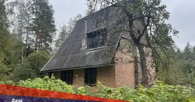 Дом в Боровской сельский Совет, Беларусь