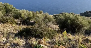 Grundstück in Provinz Agios Vasilios, Griechenland
