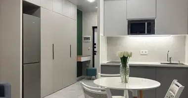 1 room apartment in Minsk, Belarus