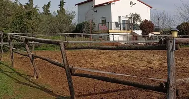 Ferienhaus 4 zimmer in Nea Silata, Griechenland