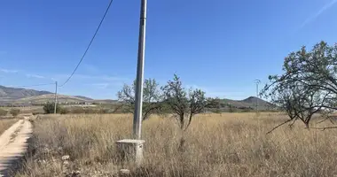 Plot of land in Jumilla, Spain