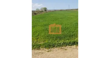 Parcela en Bashkia Durres, Albania