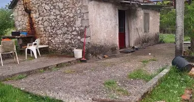 Haus 1 Schlafzimmer in Danilovgrad, Montenegro