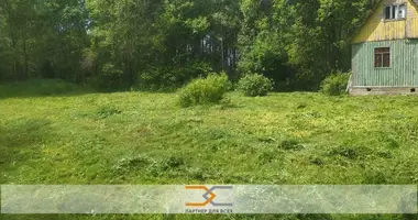 Дом в Свислочский сельский Совет, Беларусь