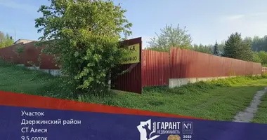 Grundstück in Dziamidavicki sielski Saviet, Belarus