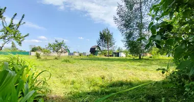Parcela en Zodzinski sielski Saviet, Belarús