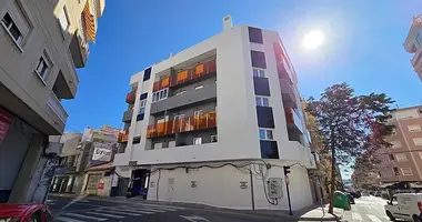 Gewerbefläche 250 m² in Torrevieja, Spanien