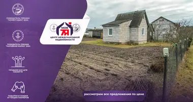 House in Miasocki sielski Saviet, Belarus