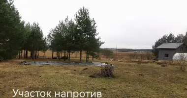 Grundstück in Kalodziscanski sielski Saviet, Belarus