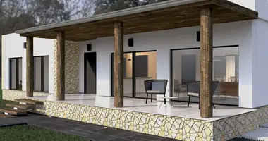 Villa 4 zimmer in el Pinos Pinoso, Spanien