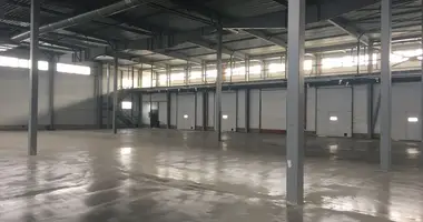 Склад 1 500 м² в Ленинский городской округ, Россия