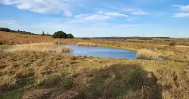 Участок земли в Мальдонадо, Уругвай