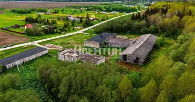 Коммерческое помещение 2 568 м² в Klopickoe selskoe poselenie, Россия