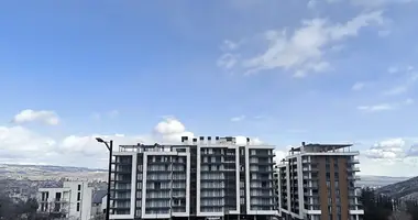 2 bedroom apartment in Tbilisi, Georgia