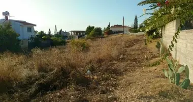 Участок земли в Тала, Кипр