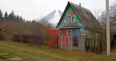 House in Navasady, Belarus