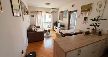 Apartamento 1 habitacion en Ilijino brdo, Montenegro