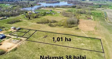 Plot of land in Uzuezere, Lithuania