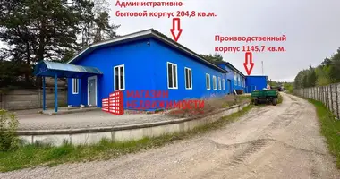Manufacture 1 351 m² in Kapciouski sielski Saviet, Belarus