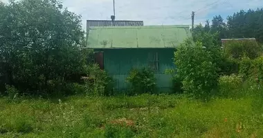 House in Kopanki, Belarus