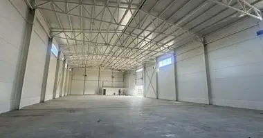 Warehouse 1 356 m² in Shchyolkovo, Russia