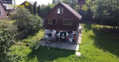 House in Lahojsk selsaviet, Belarus