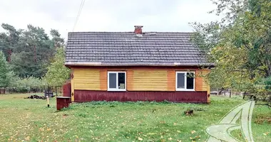 House in Tamasouski sielski Saviet, Belarus