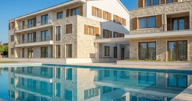 Apartamento 1 habitacion en Radanovici, Montenegro