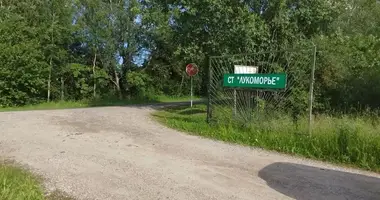 Plot of land in Piatryskauski sielski Saviet, Belarus