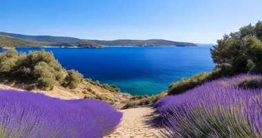 READY BUSINESS dans Opcina Orebic, Croatie