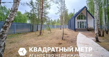 House in Dukorski sielski Saviet, Belarus