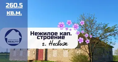 Коммерческое помещение 261 м² в Крупицкий сельский Совет, Беларусь