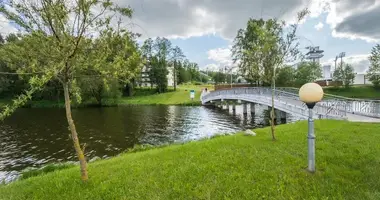 Cottage in Raubicy, Belarus