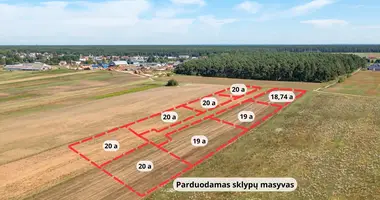 Terrain dans Paluknys, Lituanie